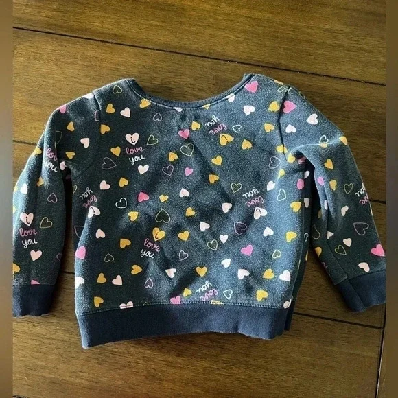 TODDLER SWEATER BUNDLE : bundle of 3 toddler girl sweaters - Picture 7 of 8